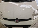  Fiat  Panda FIAT  / 2011 / 5P / BERLINA 1.2 69CV SeS E6D-TEMP EASY #24