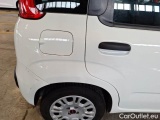  Fiat  Panda FIAT  / 2011 / 5P / BERLINA 1.0 70CV SeS HYBRID E6D-T EASY #44