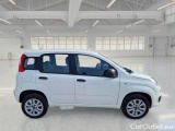  Fiat  Panda FIAT  / 2011 / 5P / BERLINA 0.9 TWINAIR TURBO NATURAL POWER EASY #7