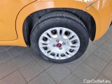  Fiat  Panda FIAT  / 2011 / 5P / BERLINA 1.2 69CV E6D-TEMP EASY #19