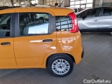  Fiat  Panda FIAT  / 2011 / 5P / BERLINA 1.2 69CV E6D-TEMP EASY #48