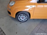  Fiat  Panda FIAT  / 2011 / 5P / BERLINA 1.2 69CV E6D-TEMP EASY #54