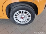  Fiat  Panda FIAT  / 2011 / 5P / BERLINA 1.2 69CV E6D-TEMP EASY #62