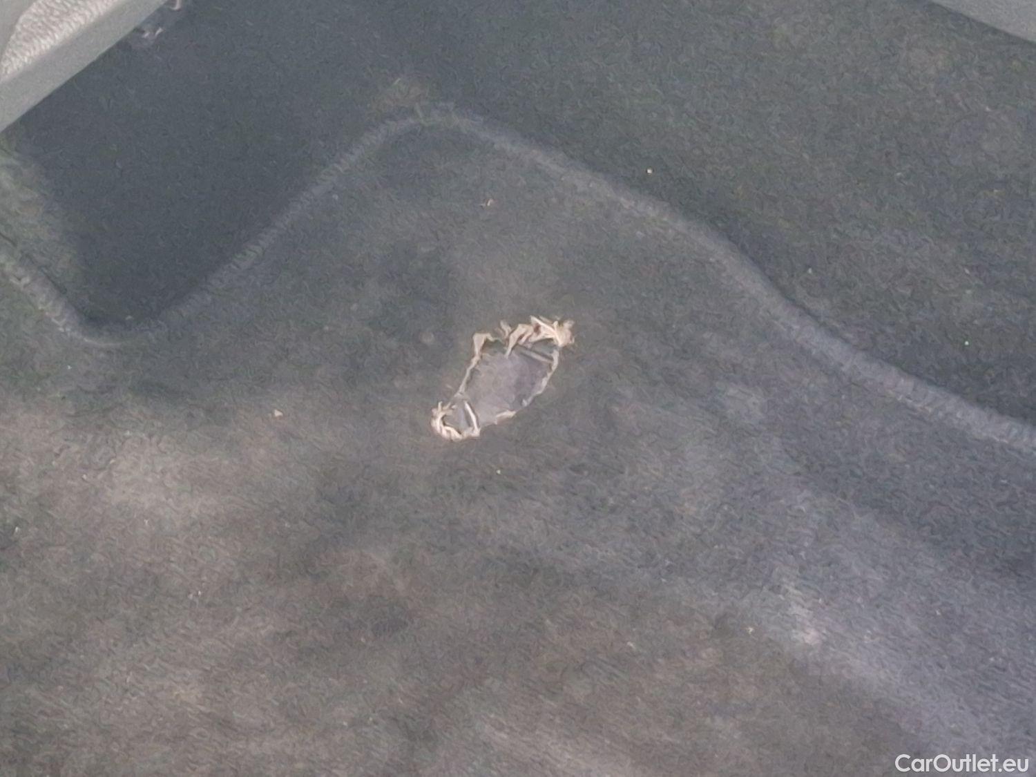  Skoda  Octavia Skoda,  Combi '20, Skoda  Combi 1.0 TSI 81kW Clever 5d #30