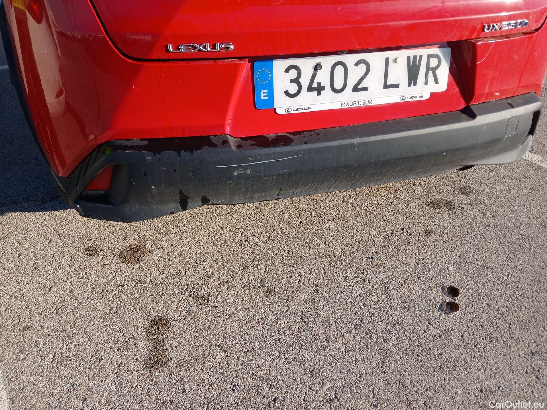  Lexus  UX LEXUS  / 2018 / 5P / todoterreno 2.0 250h Business #24