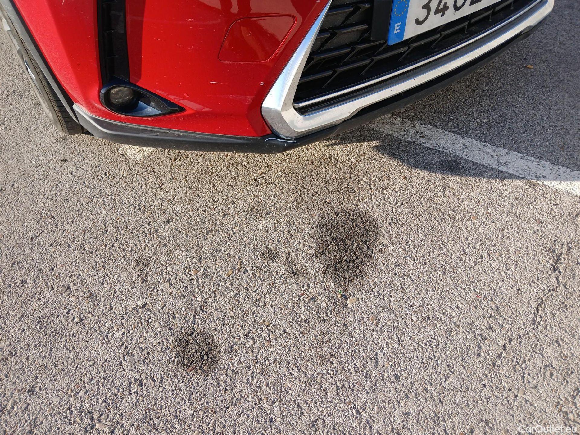  Lexus  UX LEXUS  / 2018 / 5P / todoterreno 2.0 250h Business #11