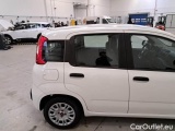  Fiat  Panda FIAT  / 2011 / 5P / BERLINA 1.0 FIREFLY 70CV SeS HYBRID #33