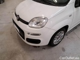  Fiat  Panda FIAT  / 2011 / 5P / BERLINA 1.0 FIREFLY 70CV SeS HYBRID #47