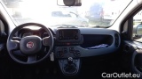  Fiat  Panda 1.0 FireFly 70cv S&S Hybrid #6