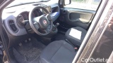 Fiat  Panda 1.0 FireFly 70cv S&S Hybrid #5