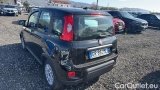  Fiat  Panda 1.0 FireFly 70cv S&S Hybrid #3