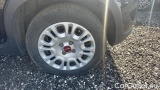  Fiat  Panda 1.0 FireFly 70cv S&S Hybrid #14