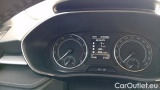  Skoda  Fabia 1.0 TSI Evo 81KW STYLE DSG #13