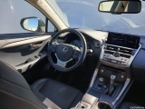  Lexus  NX LEXUS  / 2017 / 5P / todoterreno 2.5 300h Premium Plus 4WD #3