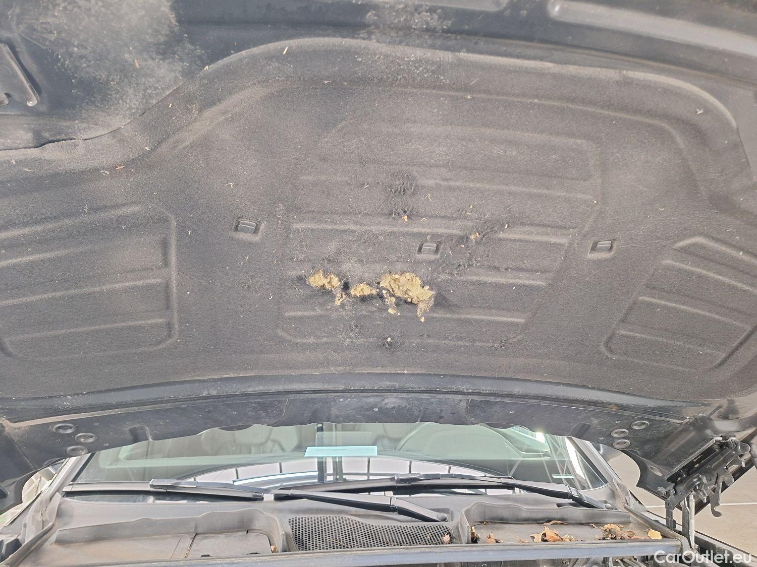  Audi  Q5 Audi,  '16, Audi  Business Edition Sport 35 TDI quattro 5d #75