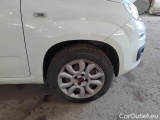  Fiat  Panda FIAT  / 2011 / 5P / BERLINA 0.9 TWINAIR TURBO NATURAL POWER EASY #17