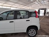  Fiat  Panda FIAT  / 2011 / 5P / BERLINA 0.9 TWINAIR TURBO NATURAL POWER EASY #62