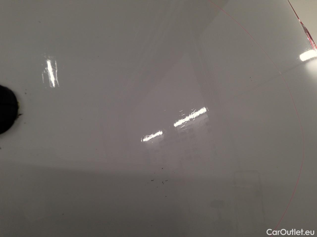  Ford  Transit Tr.Cus.TDCi 130 30 L2H1 M Tr. #29