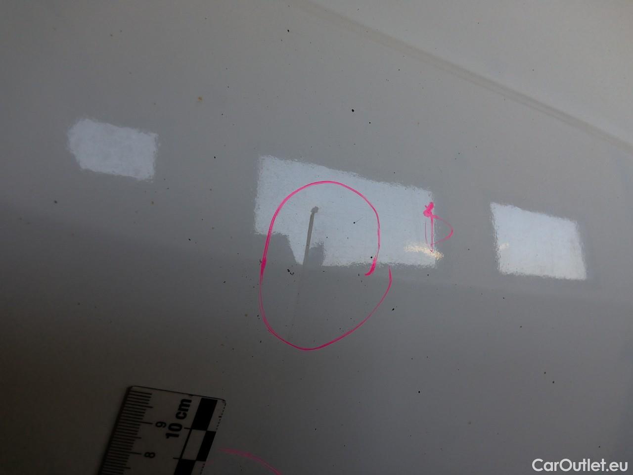  Ford  Transit Tr.Cus.TDCi 130 30 L2H1 M Tr. #6