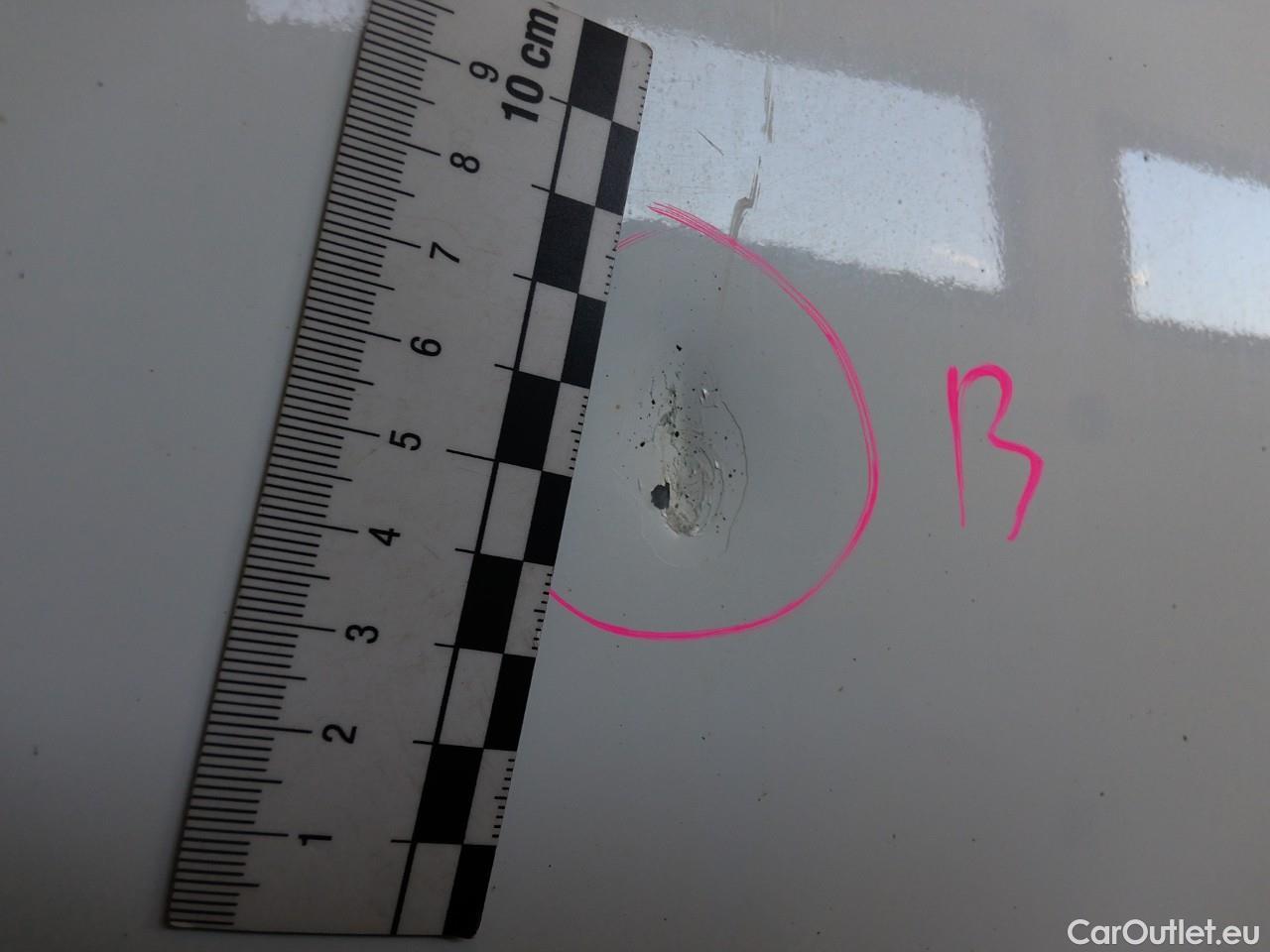  Ford  Transit Tr.Cus.TDCi 130 30 L2H1 M Tr. #7