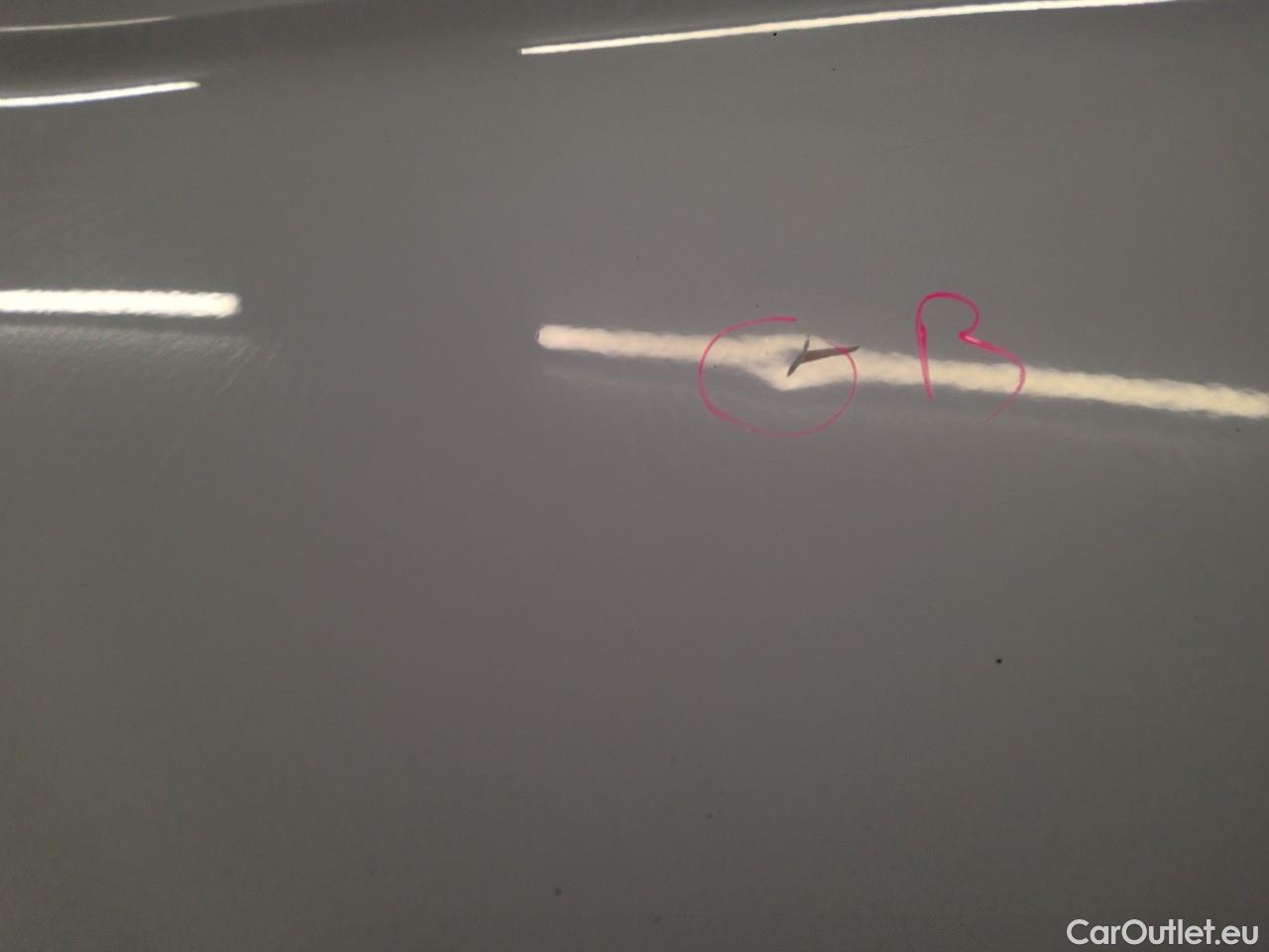  Ford  Transit Tr.Cus.TDCi 130 30 L2H1 M Tr. #21