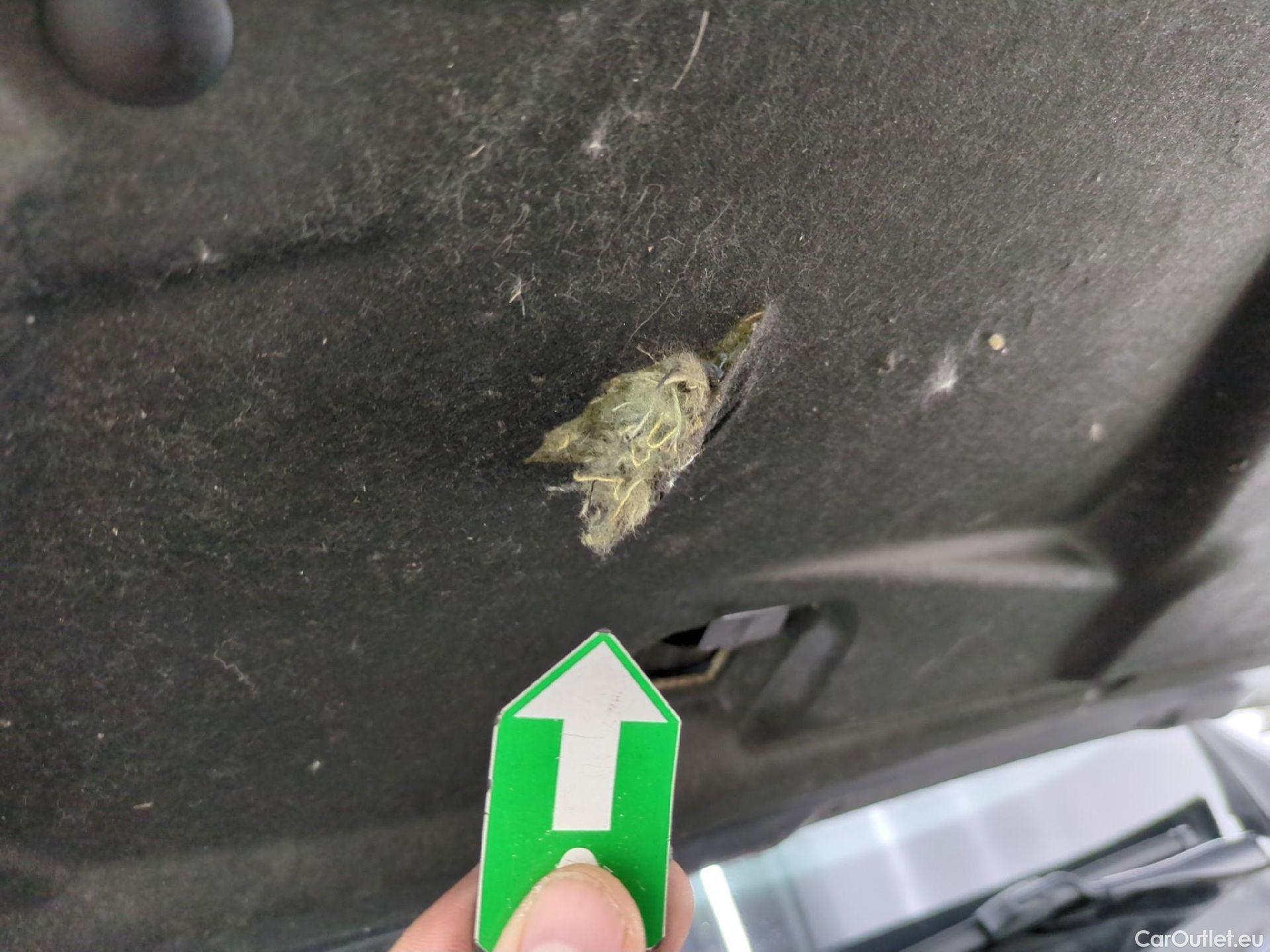  Renault  Arkana  Business 1.6 E-TECH Hybrid 145CV BVA6 E6d #13