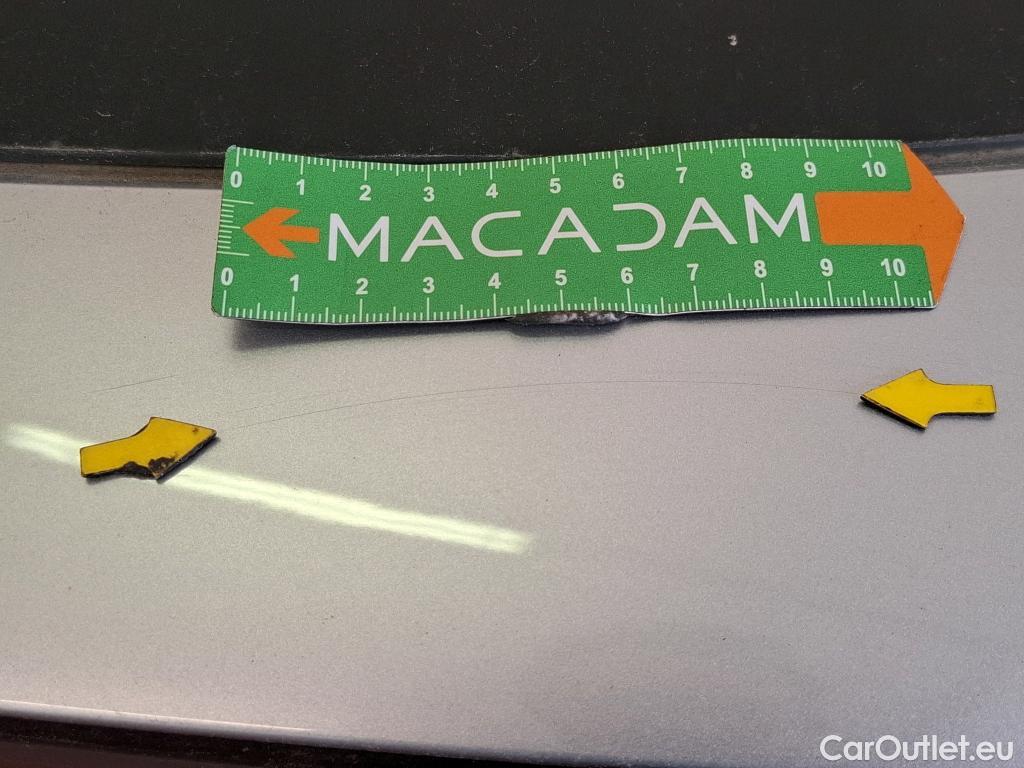  Renault  Megane  IV Estate Business 1.5 dCi 115CV BVM6 E6d #113