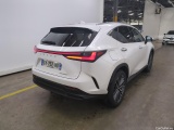  Lexus  NX LEXUS  / 2021 / 5P / SUV 450H+ 4WD Executive #3