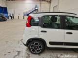  Fiat  Panda FIAT  / 2011 / 5P / BERLINA 1.0 FIREFLY 70CV SeS HYBRID CITY LIFE #41