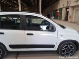  Fiat  Panda FIAT  / 2011 / 5P / BERLINA 1.0 FIREFLY 70CV SeS HYBRID CITY LIFE #33