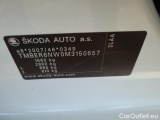  Skoda  Scala  (NW) (2019)  1.0 TSI 81 Style AT #10