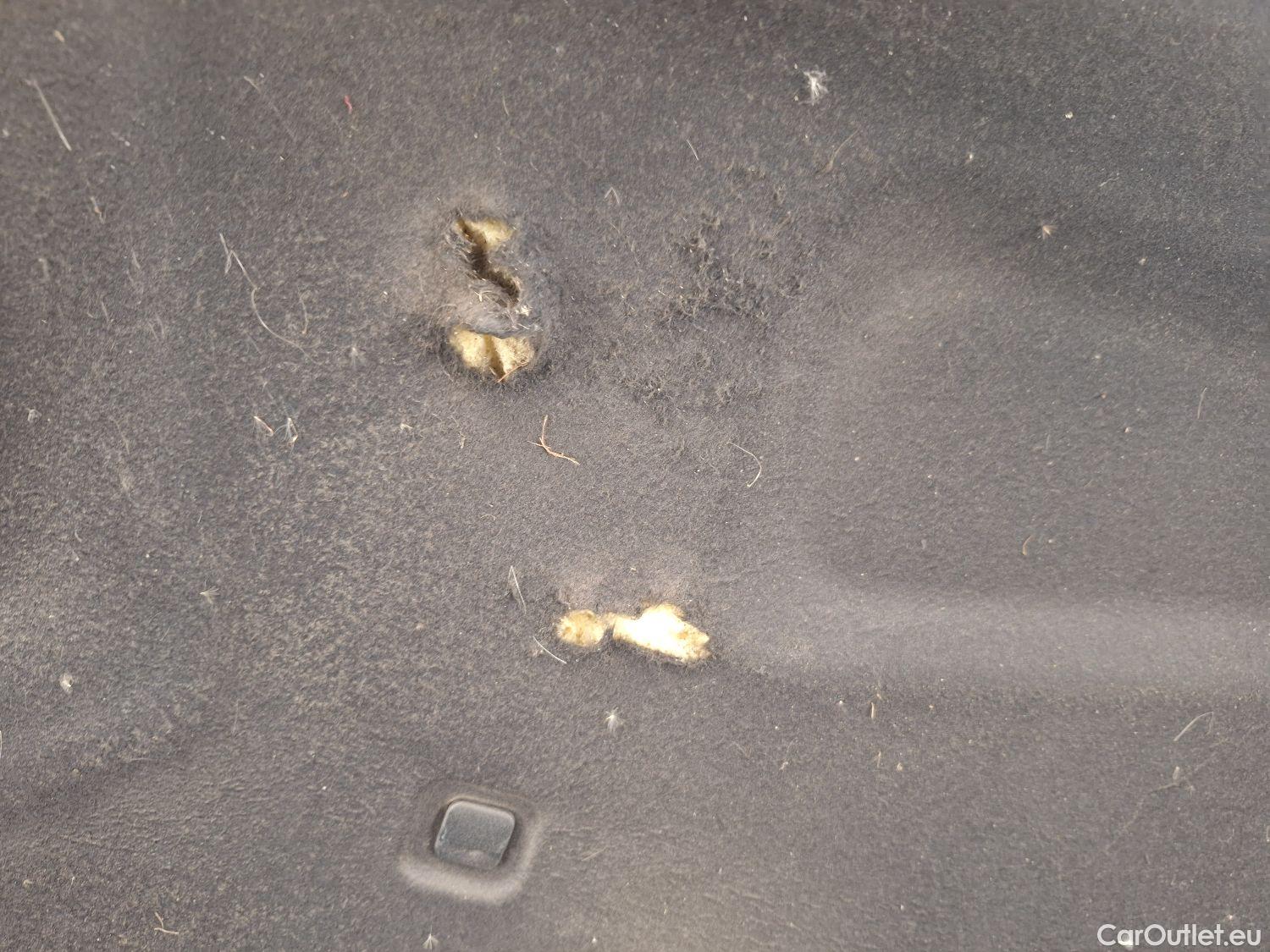  Audi  A4 Audi,  Avant FL'19, Audi  Avant 2.0 30 TDi 100kW S tronic Business E #47