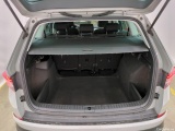  Skoda  Kodiaq  Ambition 2.0 TDI 150CV BVA7 E6d #9