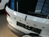  Skoda  Karoq  Style 2.0 TDI 85KW AT7 E6d #43