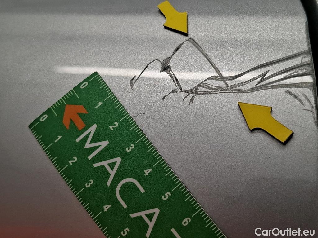  Renault  Kangoo  Express Maxi Extra (Série Spéciale) - Cab. Appr. 1.5 dCi 110CV BVM6 E6 #19