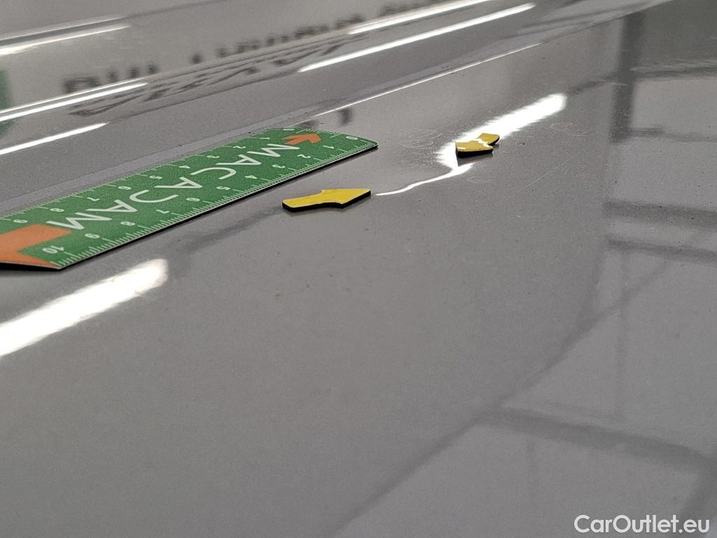  Renault  Kangoo  Express Maxi Extra (Série Spéciale) - Cab. Appr. 1.5 dCi 110CV BVM6 E6 #30