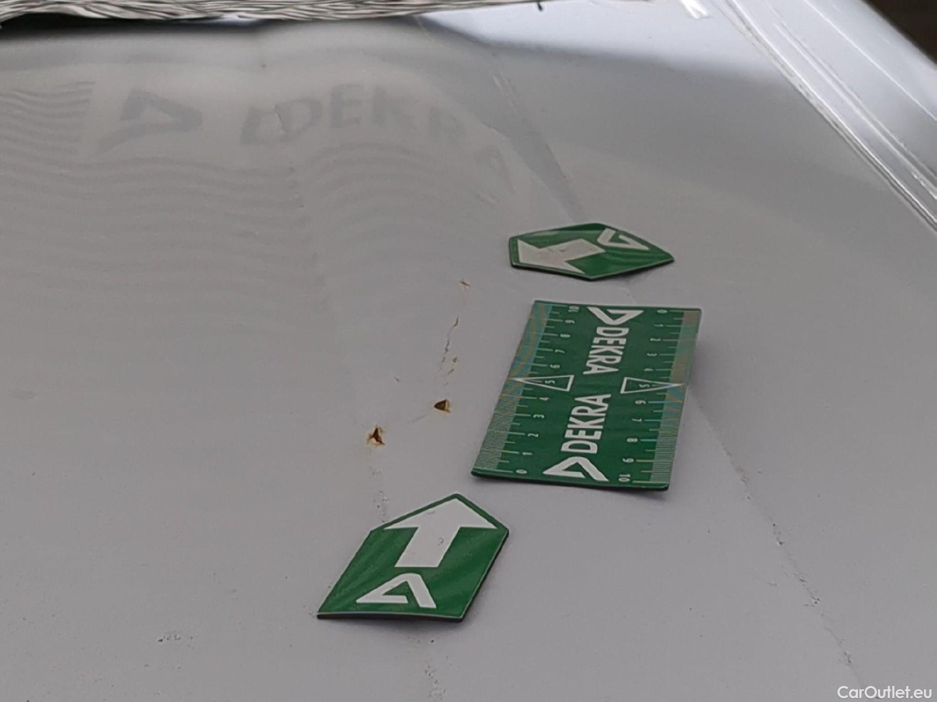  Renault  Kangoo  Express Maxi Extra (Série Spéciale) 1.5 dCi 90CV BVM5 E6 #19