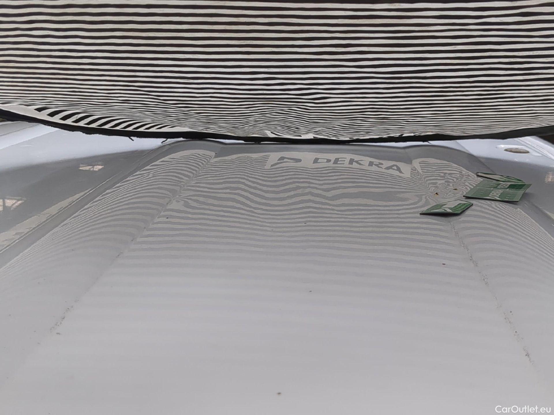  Renault  Kangoo  Express Maxi Extra (Série Spéciale) 1.5 dCi 90CV BVM5 E6 #20