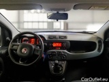  Fiat  Panda FIAT  / 2011 / 5P / BERLINA 1.2 69CV SeS E6D-TEMP EASY #3