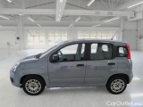  Fiat  Panda FIAT  / 2011 / 5P / BERLINA 1.2 69CV SeS E6D-TEMP EASY #8