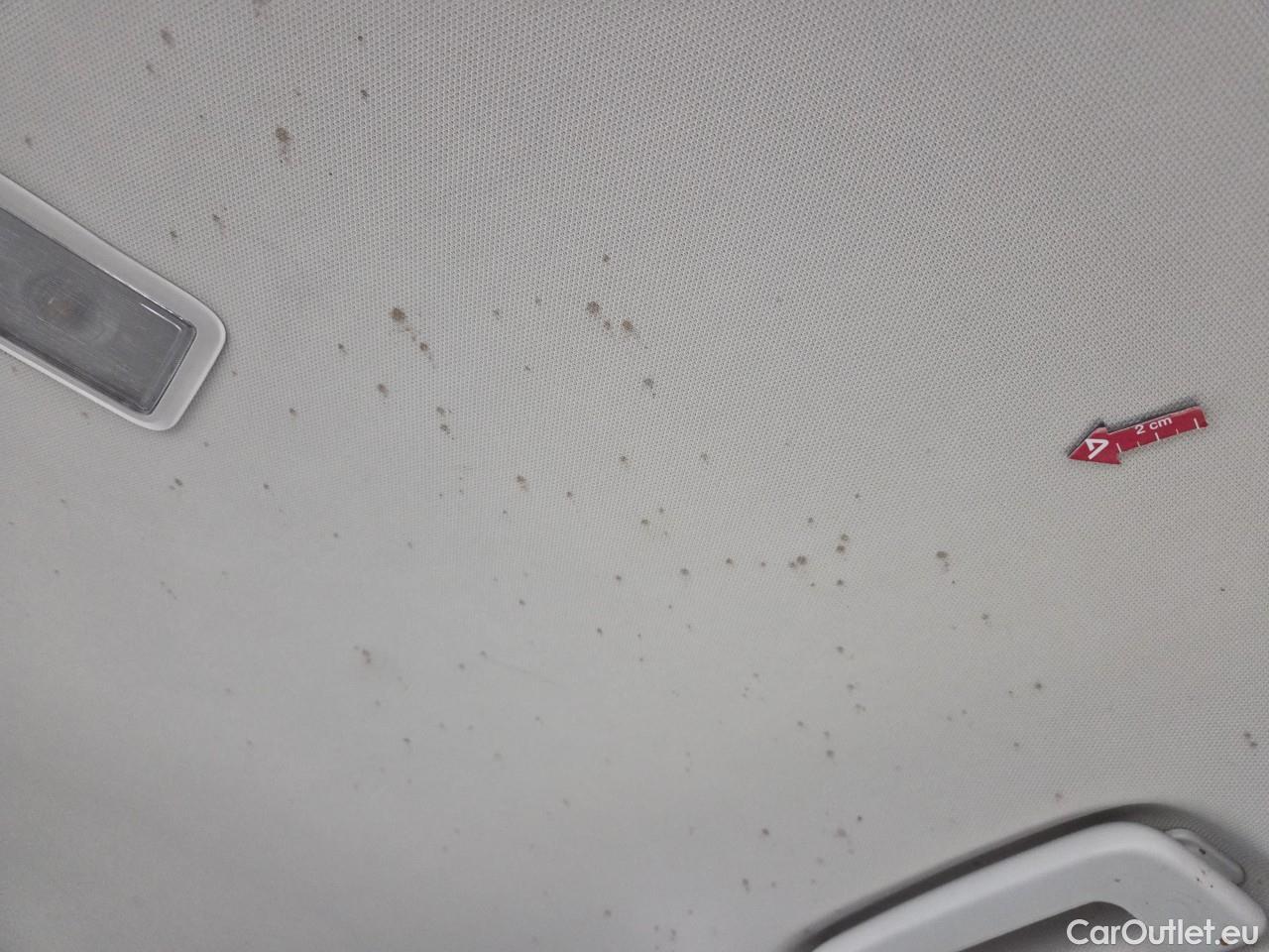  Ford  Focus 1.5 EcoBlue 120CP Titanium #49