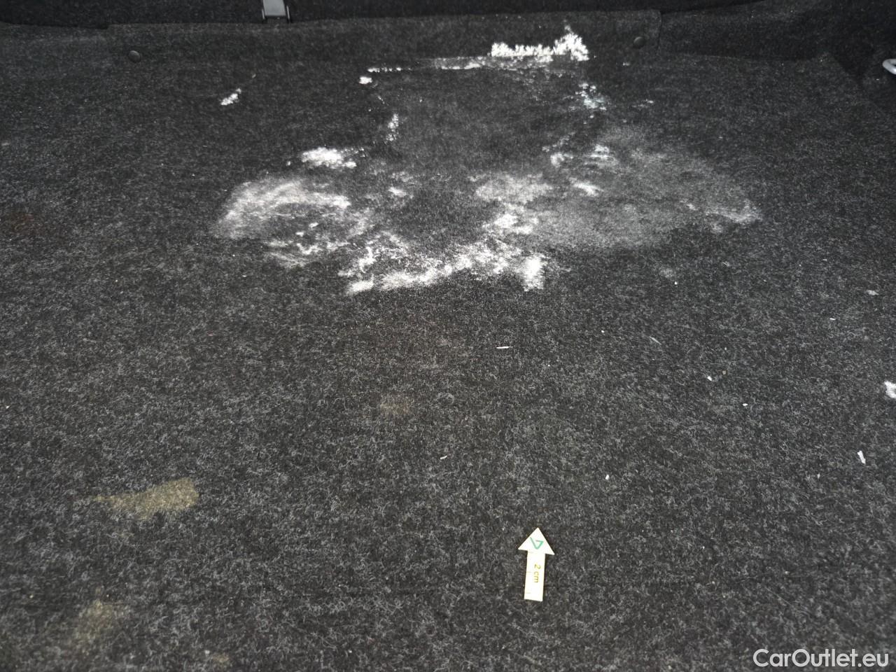  Skoda  Octavia 2.0 TDI 150CP Style DSG #73