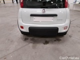  Fiat  Panda FIAT  / 2011 / 5P / BERLINA 1.0 FIREFLY 70CV SeS HYBRID CITY LIFE #41