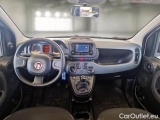  Fiat  Panda FIAT  / 2011 / 5P / BERLINA 1.0 FIREFLY 70CV SeS HYBRID #3