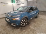 C4 Cactus
