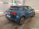 C4 Cactus