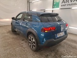 C4 Cactus