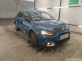 C4 Cactus