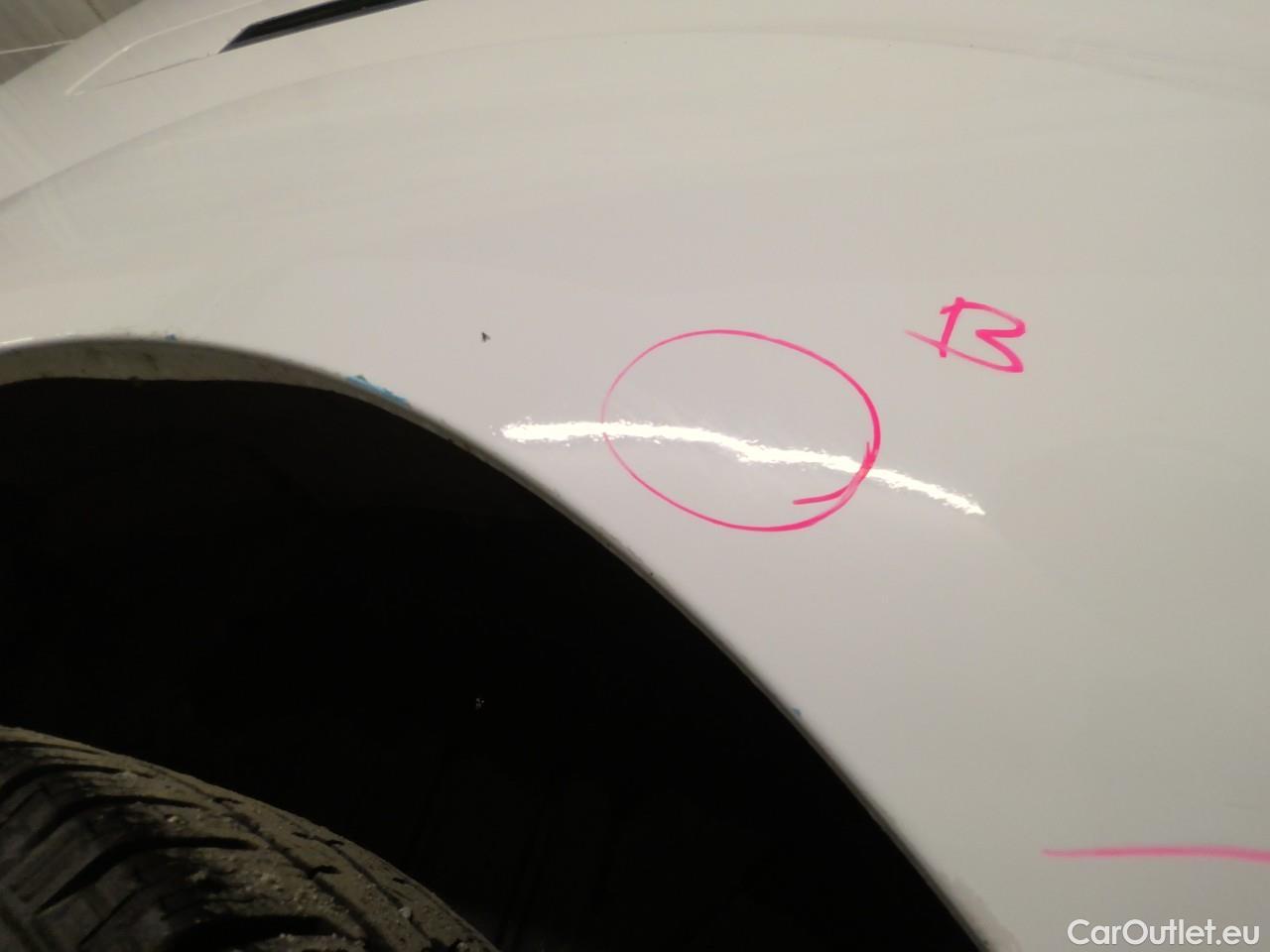  Ford  Transit Tr.Cus.TDCi 130 30 L2H1 M Tr. #21