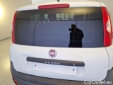  Fiat  Panda FIAT  / 2012 / 5P / BERLINA 1.2 69 CV VAN 2 POSTI EURO6 POP #64